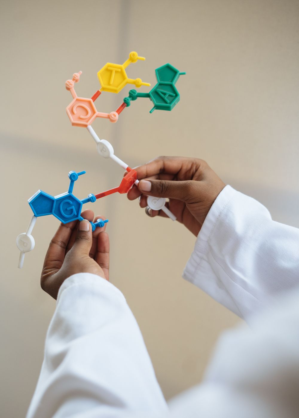 Modelo molecular en contexto de investigación